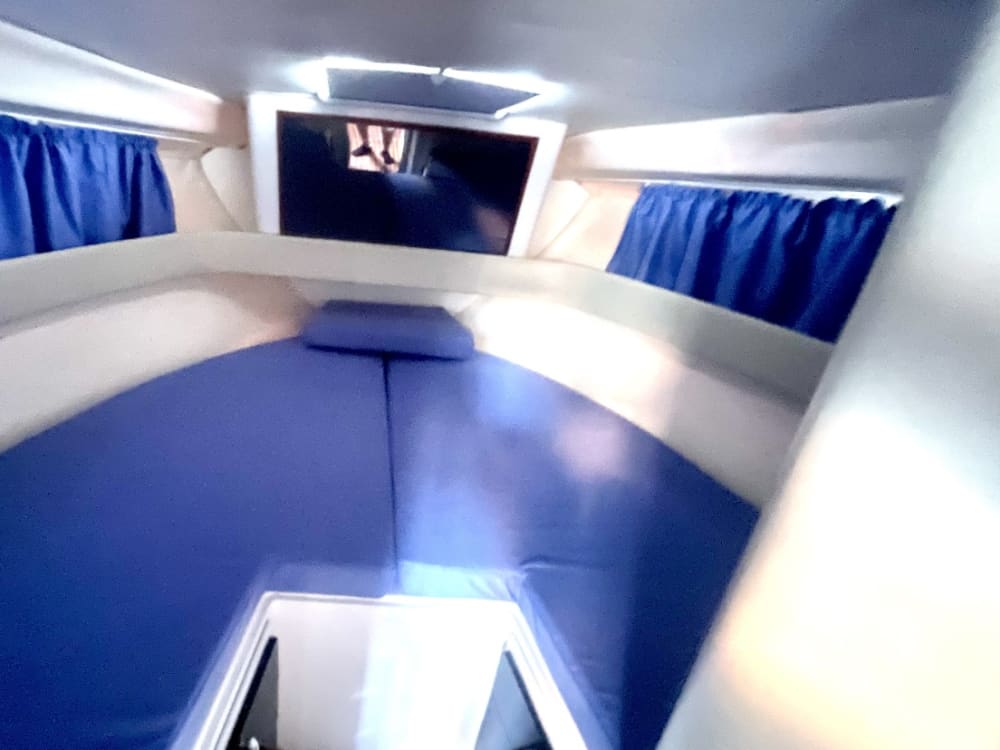 Palmarola: Un Angolo di Paradiso nel Tirreno