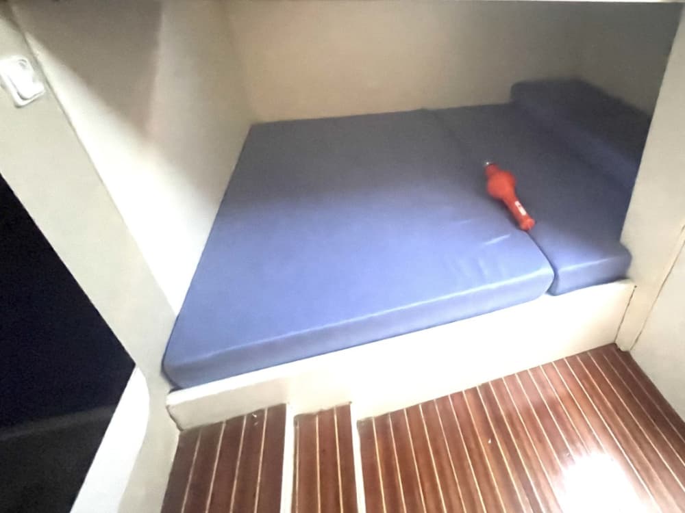 Palmarola: Un Angolo di Paradiso nel Tirreno