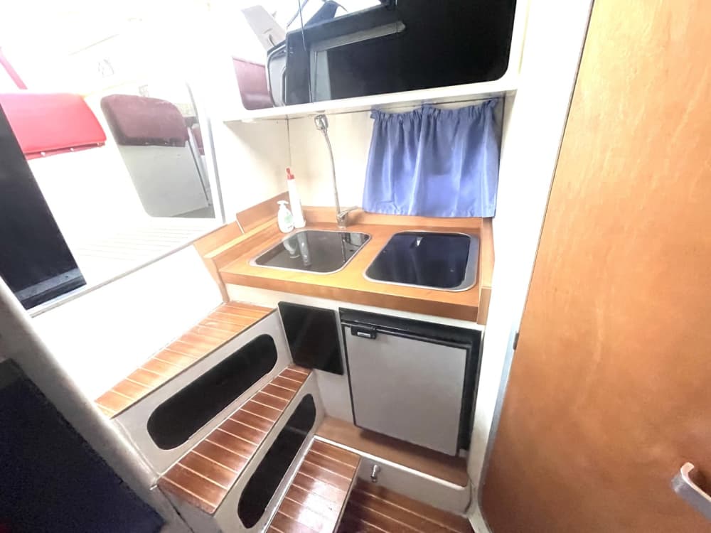 Palmarola: Un Angolo di Paradiso nel Tirreno