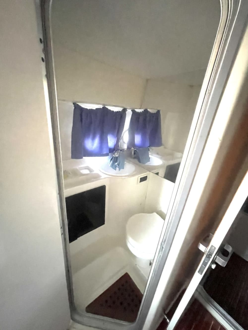 Palmarola: Un Angolo di Paradiso nel Tirreno