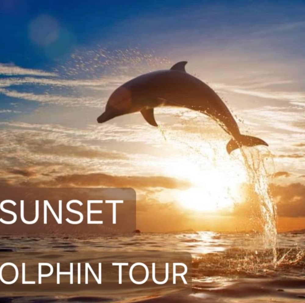 Tour di 2 ore della costa storica intorno a Rovigno