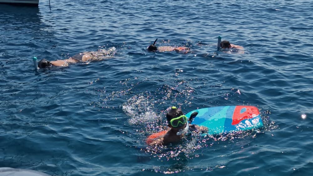 Tour di 2 ore della costa storica intorno a Rovigno