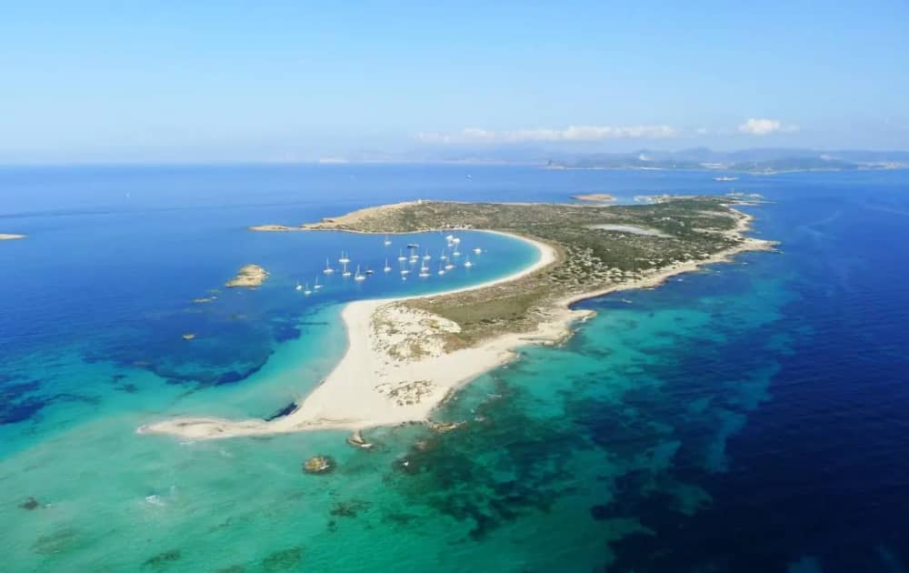 Fuga magica di 4 ore a Formentera, scopri Illetes, Espalmador e Sa Torreta