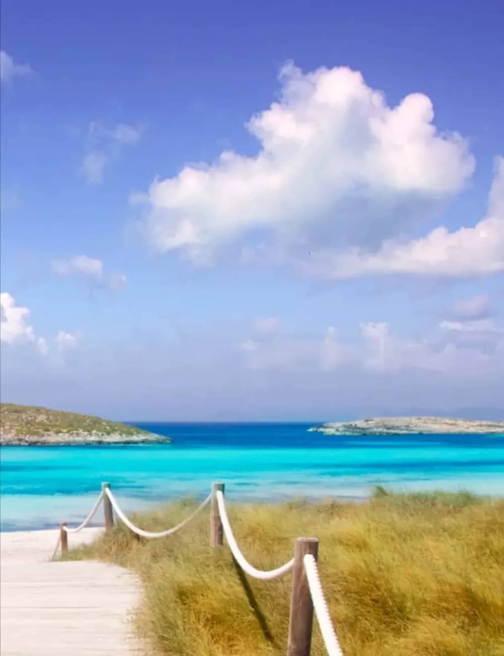 Fuga magica di 4 ore a Formentera, scopri Illetes, Espalmador e Sa Torreta