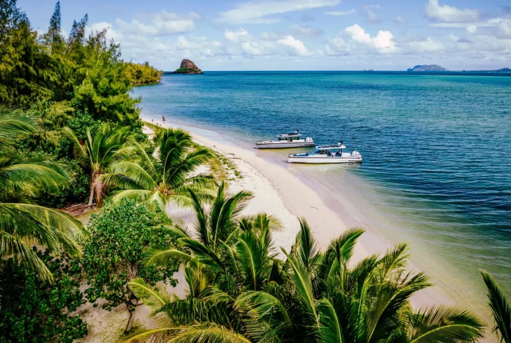 Beaches & Adventure 8h: Exclusive Day around Anguilla