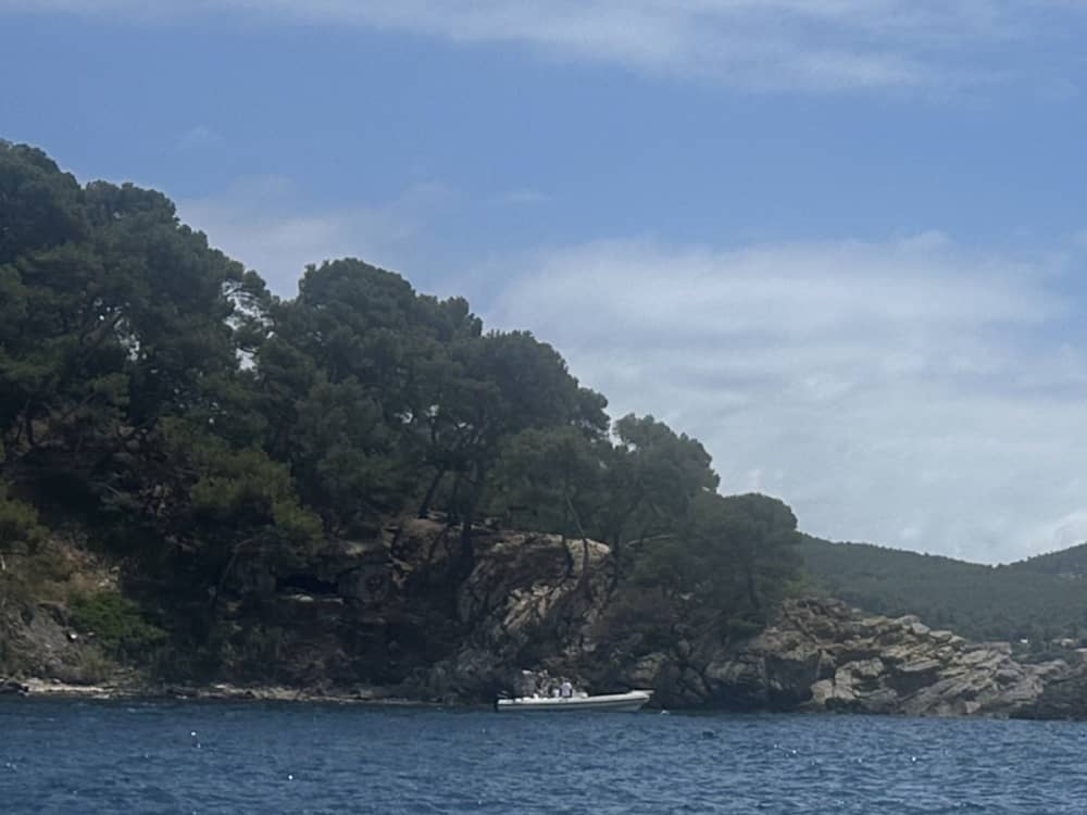 Goditi 4 ore di sole su un motoscafo a Tolone.