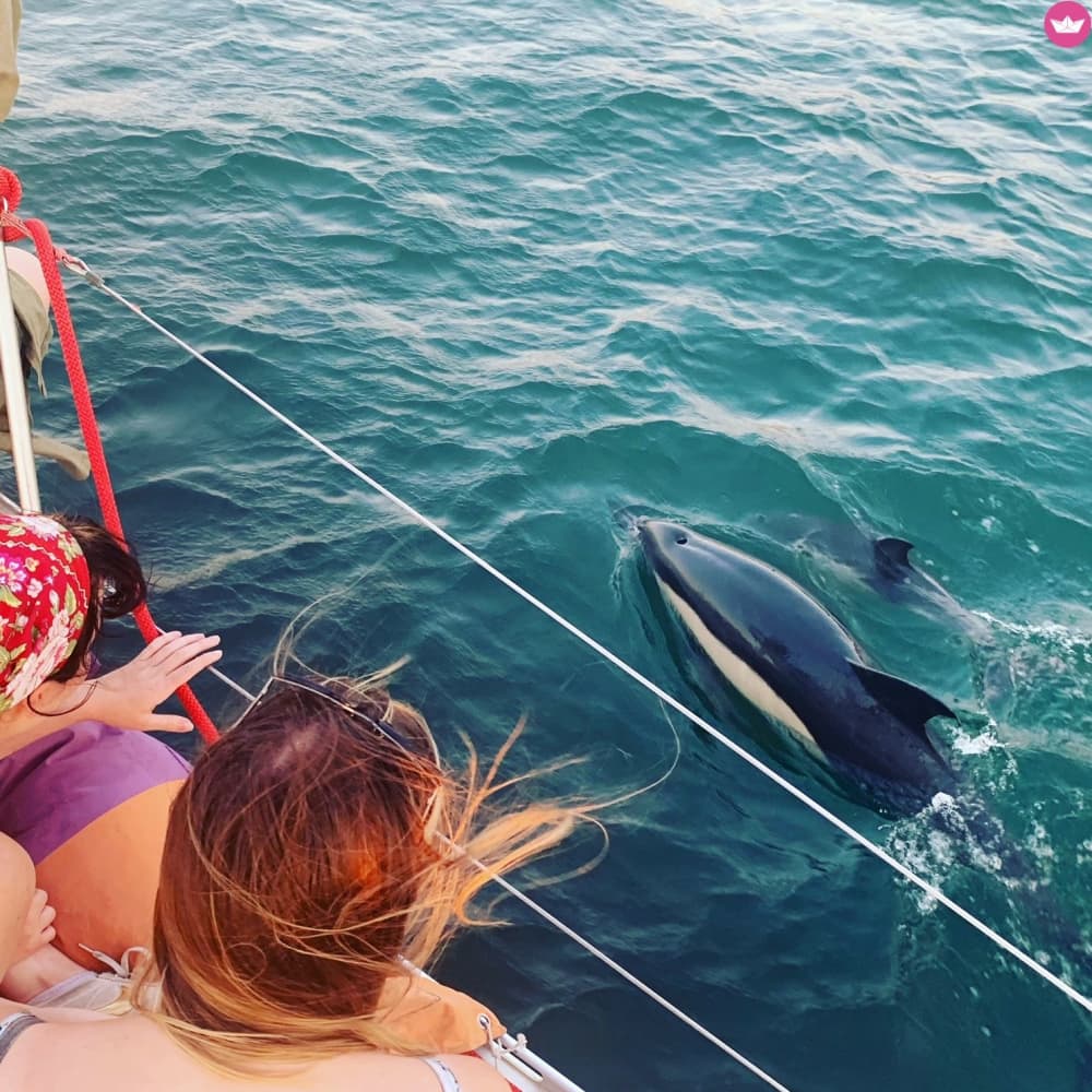 Avventura di mezza giornata: fuga sul Tago e crociera sull'Atlantico