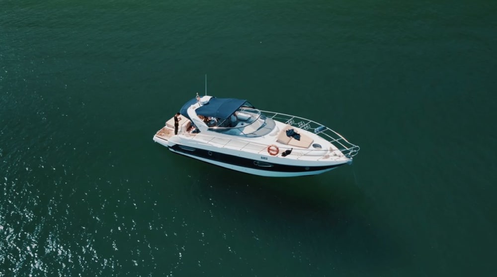 Passeio de barco de 6 horas saindo de Setúbal com opção de espumante e restaurante