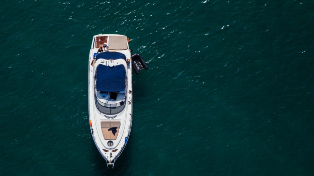 Passeio de barco de 6 horas saindo de Setúbal com opção de espumante e restaurante