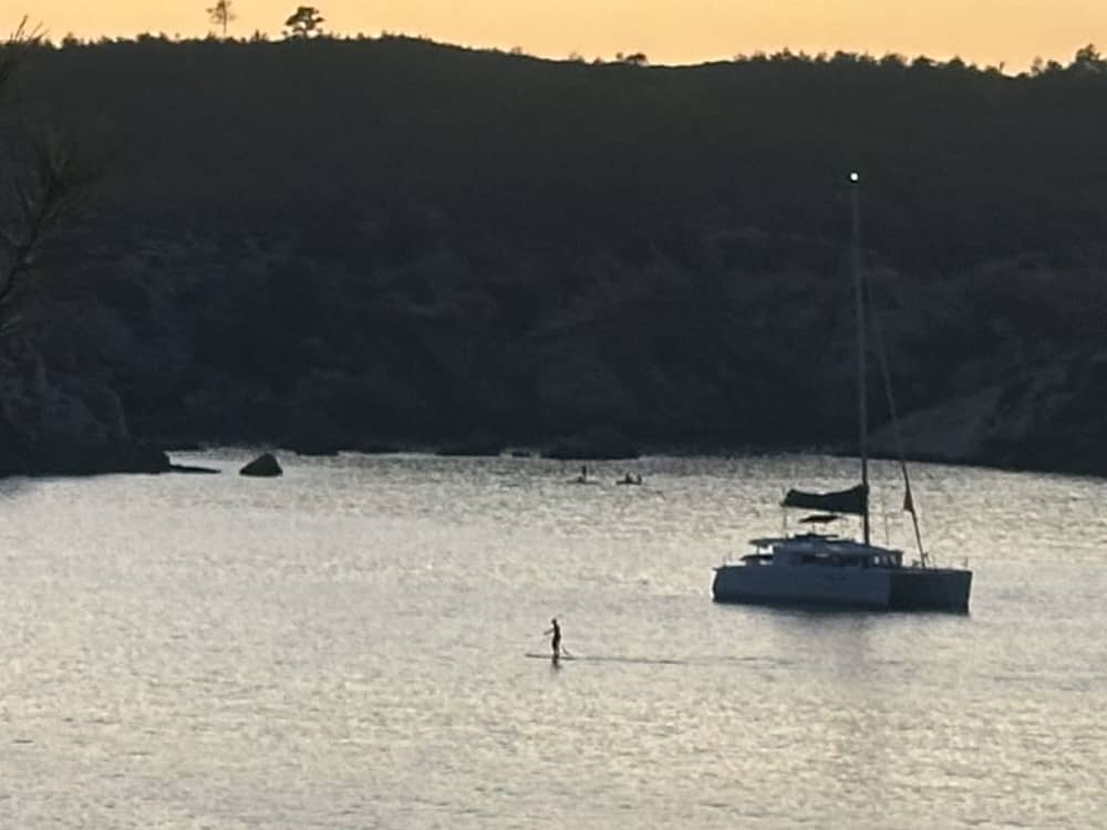 Valencia by Sail: Half-Day Sea Escape