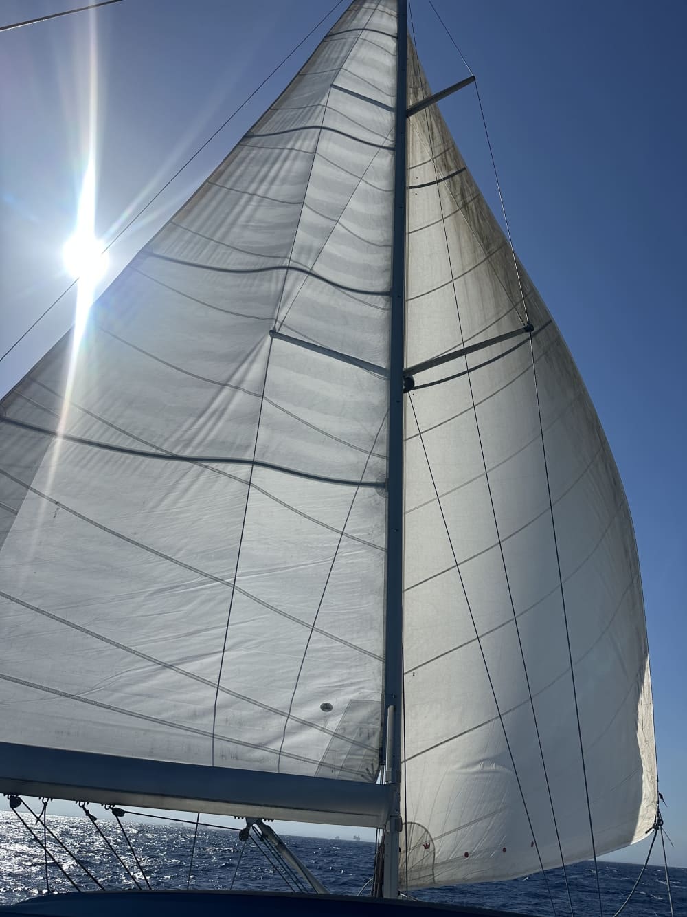 Valencia by Sail: Half-Day Sea Escape