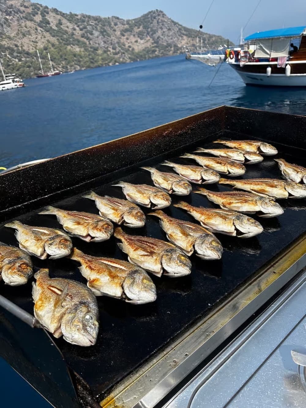 Sofisticación en alta mar: Descubra Göcek en un goleta de lujo.