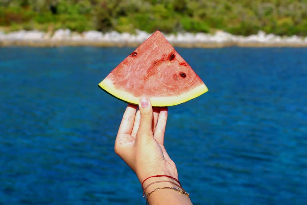 Explore by Sea – 8-Hour Tour