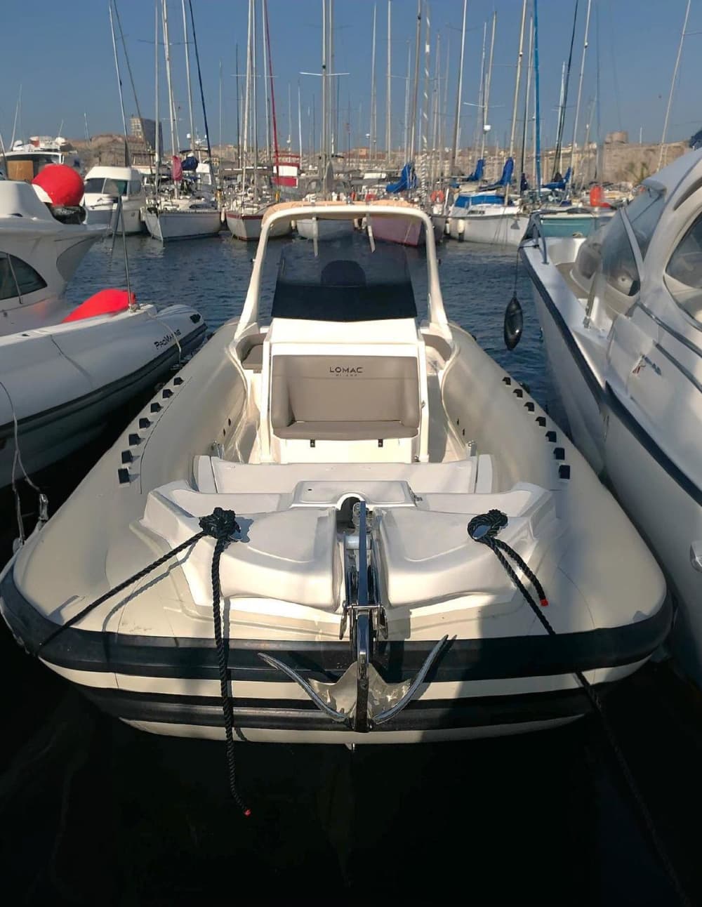 Disfrute de un día completo en lancha motora en el Puerto Viejo de Marsella.