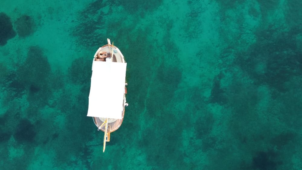 Half-Day Mallorca Boat Experience – Paddle, Swim & Relax