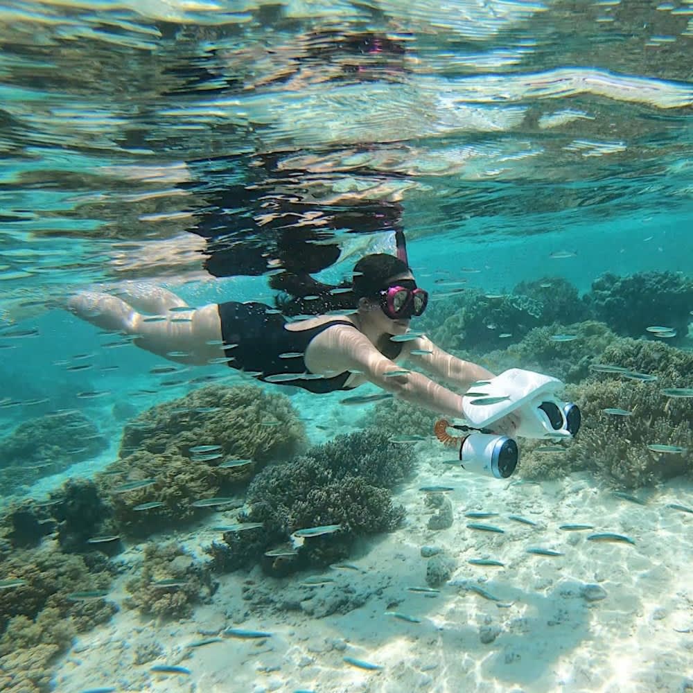 Круиз на целый день по Майорке — частный чартер из Пуэрто-Порталс