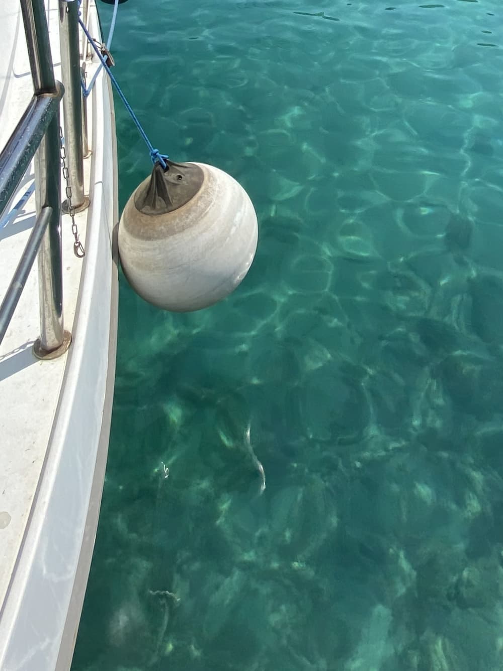 Żegluj, pływaj i odkrywaj: półdniowa przygoda z Zadaru