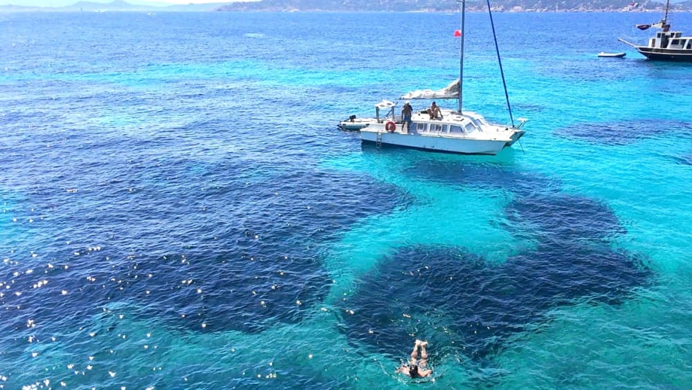 Catamaran excursion to the Maddalena Islands with aperitif