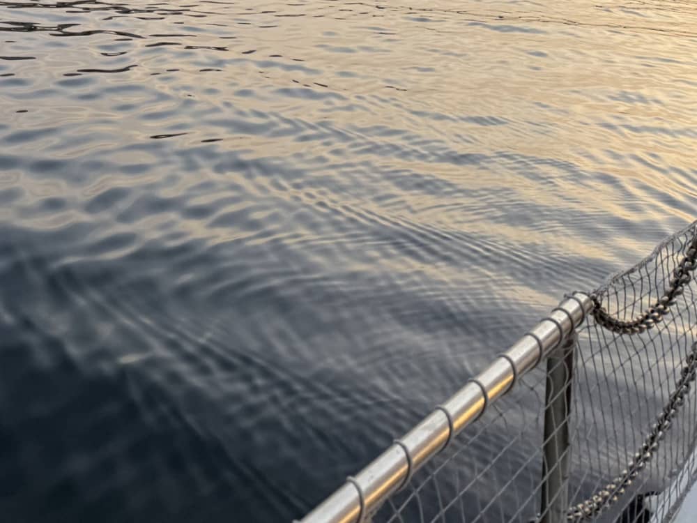 Plaisir absolu à Argelès-sur-Mer : passez 4 h sur un yacht à moteur