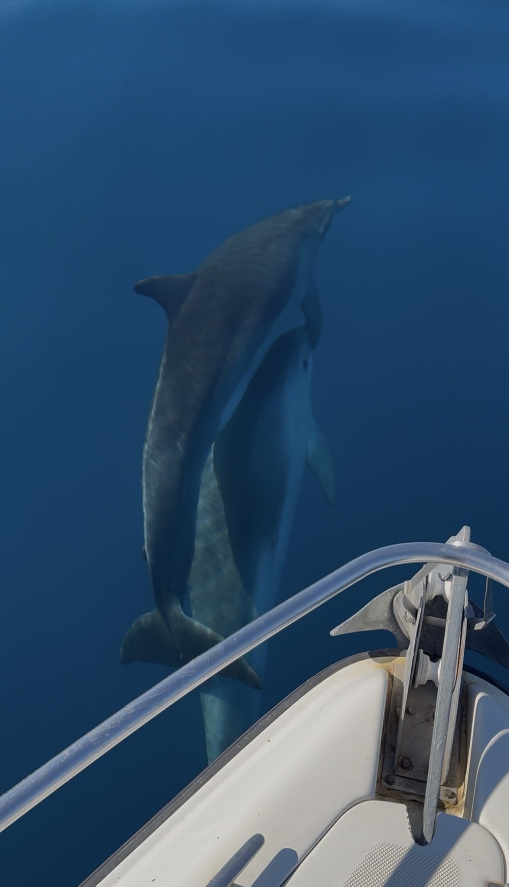 North Coast of Saranda - Unforgettable Speed Boat Adventure