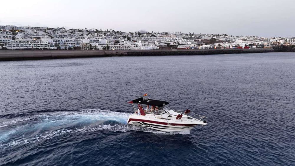 Atlantic Odyssey: Cruzeiro Premium Discovery de 6 horas com experiência gourmet