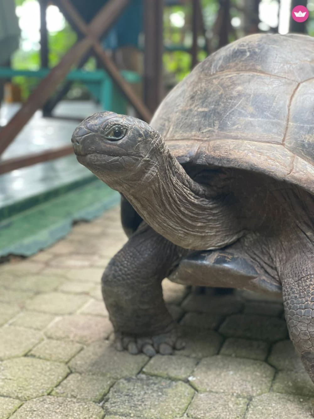 8ωρη ξενάγηση για ψάρεμα στις Σεϋχέλλες – Ομάδα 4 ατόμων