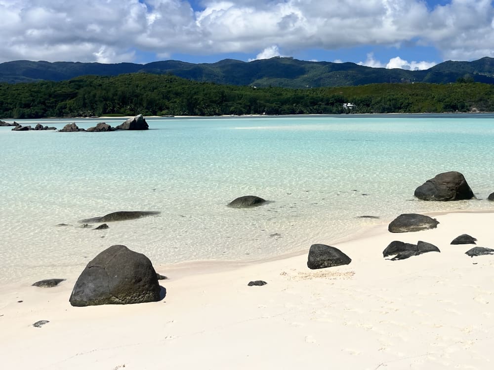 Tour di snorkeling di 4 ore: nuota con tartarughe e razze alle Seychelles
