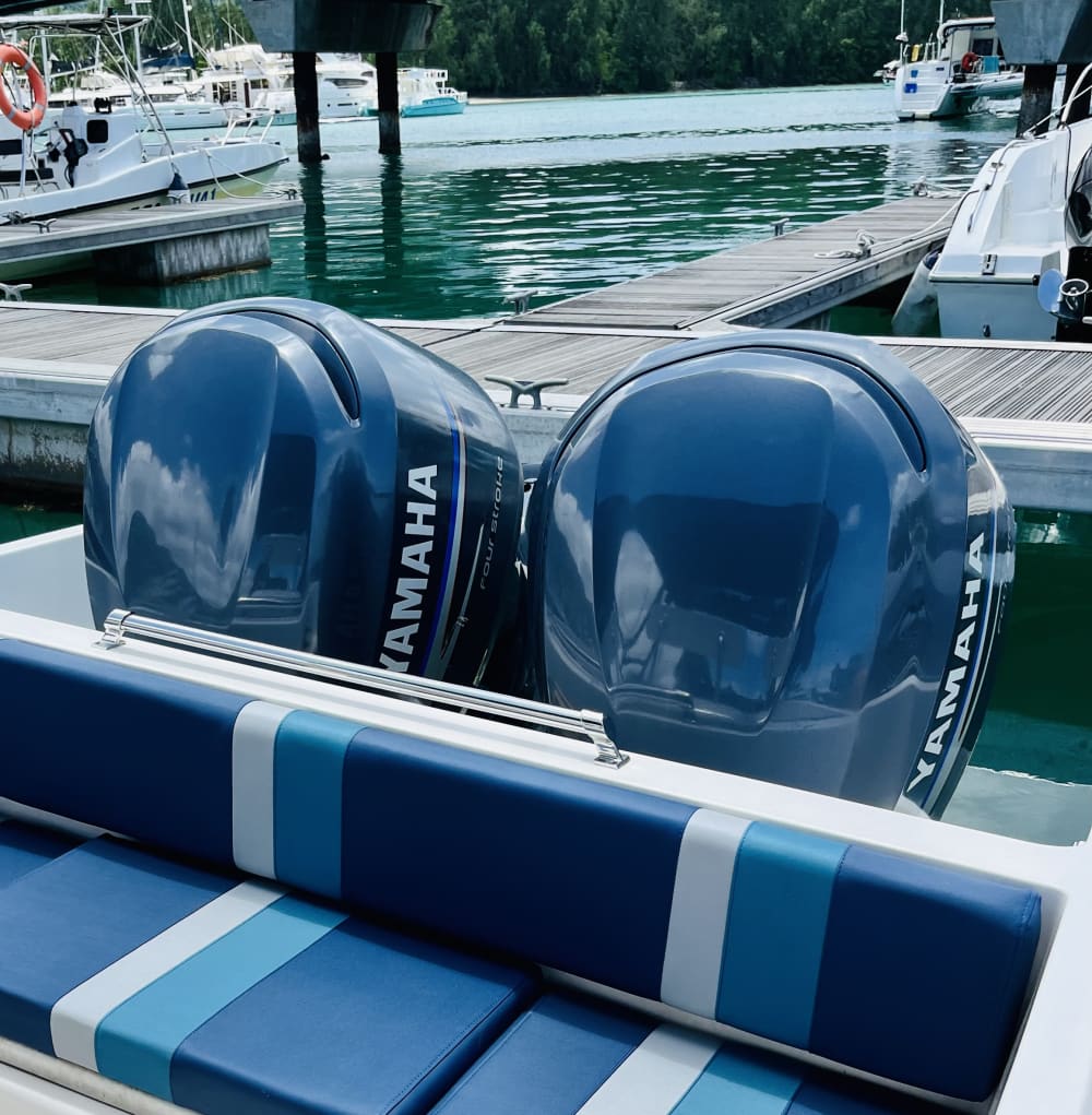 Tour di snorkeling di 4 ore: nuota con tartarughe e razze alle Seychelles