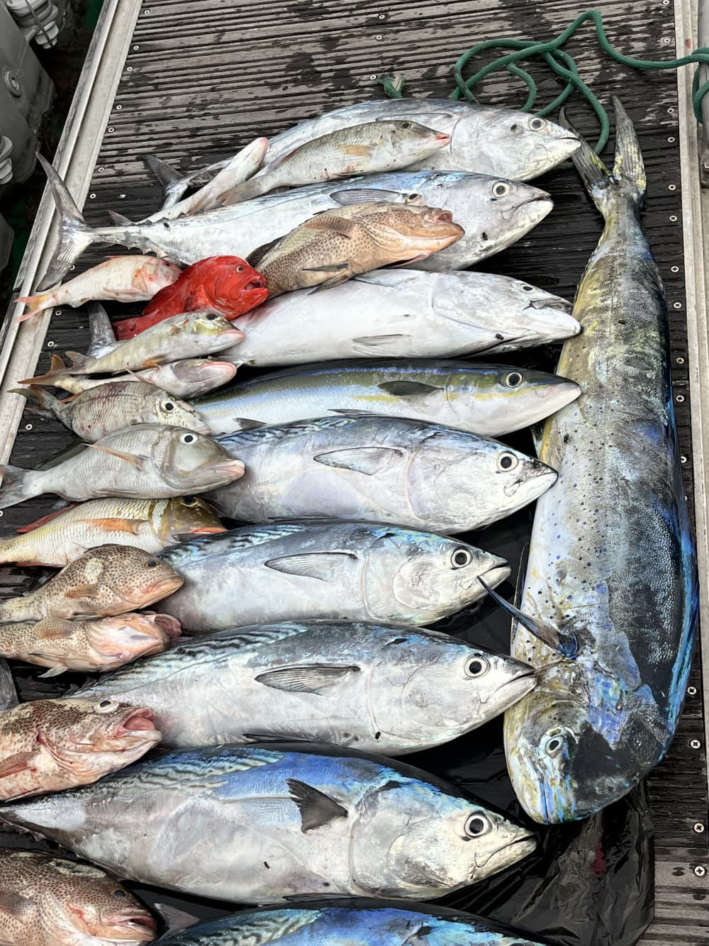 Escursione di pesca guidata di 8 ore alle Seychelles - Gruppo di 4 persone