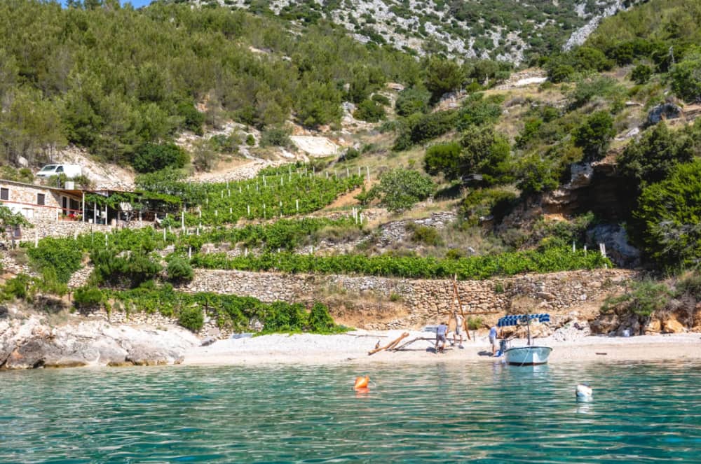 Sunset Serenity: 90-minutowa ucieczka do zatoki Puntica