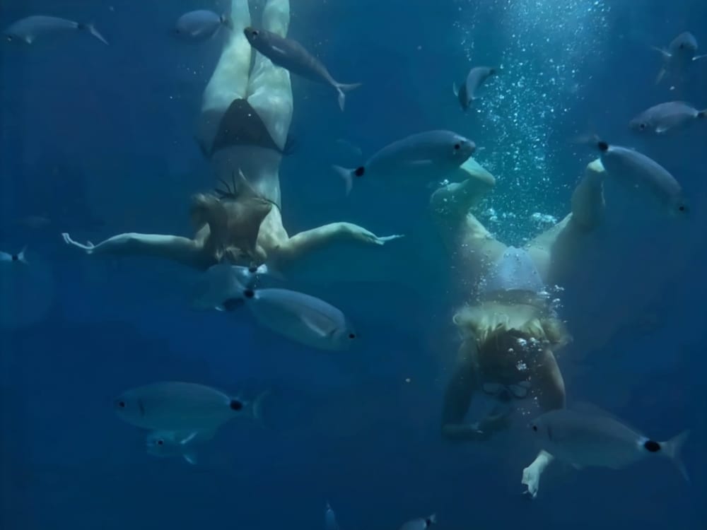 Prywatna luksusowa łódź Colnago 38 z opcją all-inclusive do 3 wysp z błękitnymi jaskiniami, ukrytymi zatokami i słynnym Złotym Rogiem