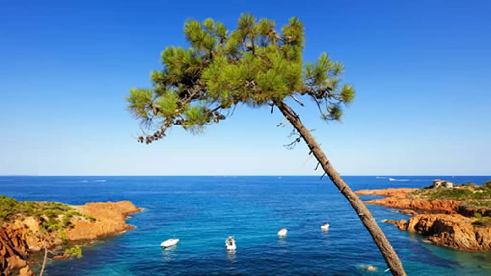 Between Sculptures and Turquoise Seas: The Secret of the Lérins Islands