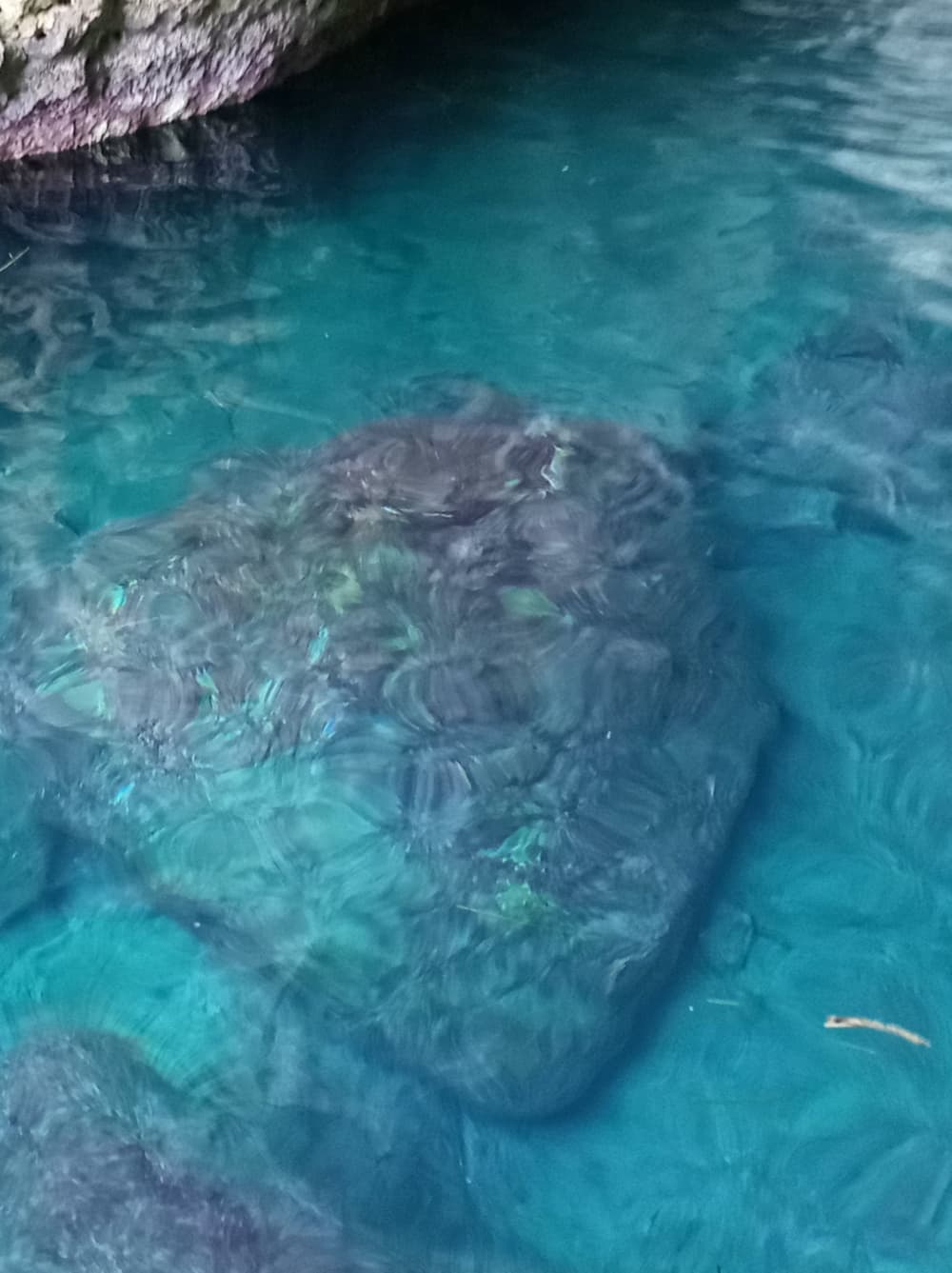 Grotten- en snorkelervaring van 2 uur