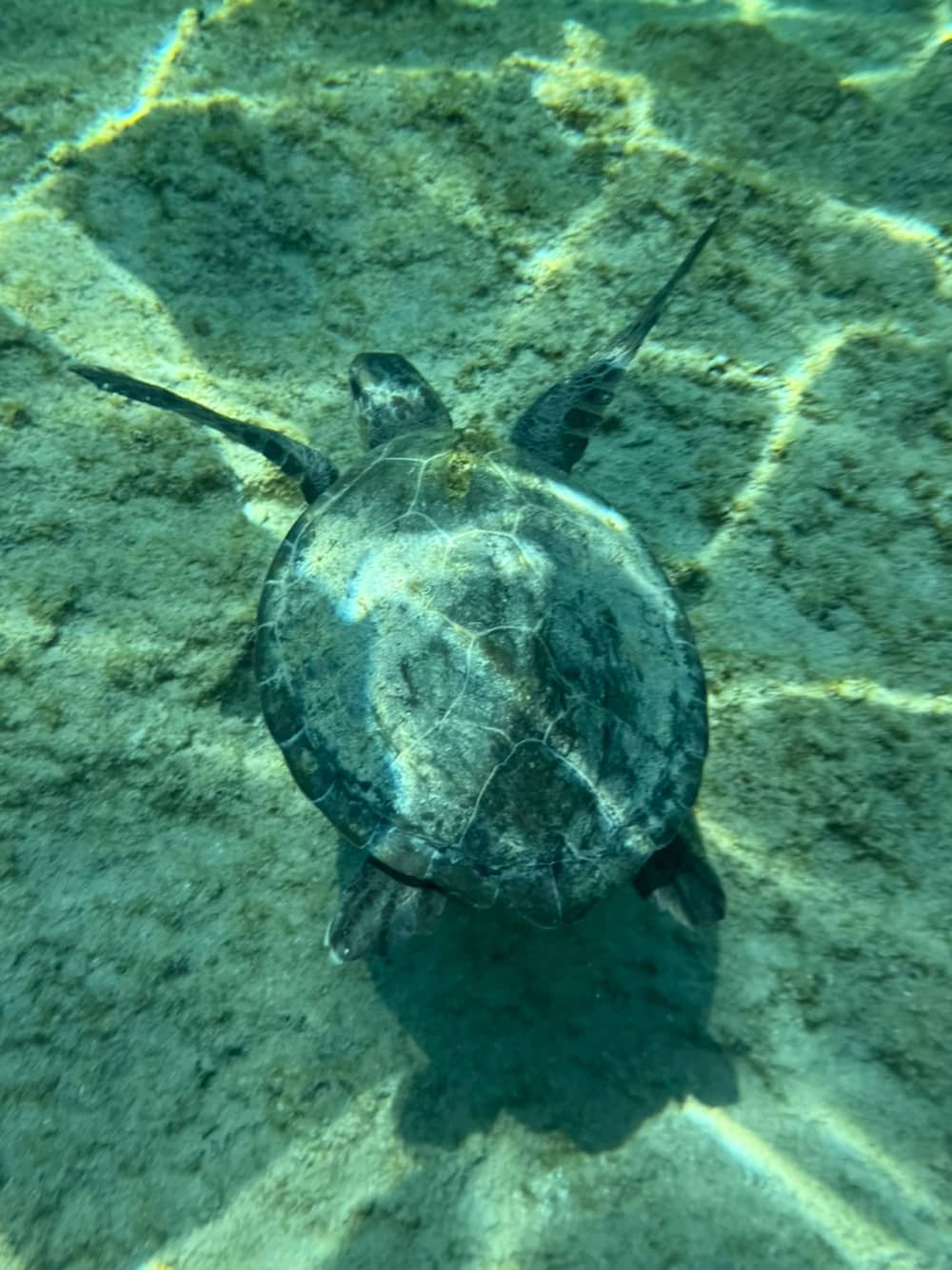 Grotten- en snorkelervaring van 2 uur