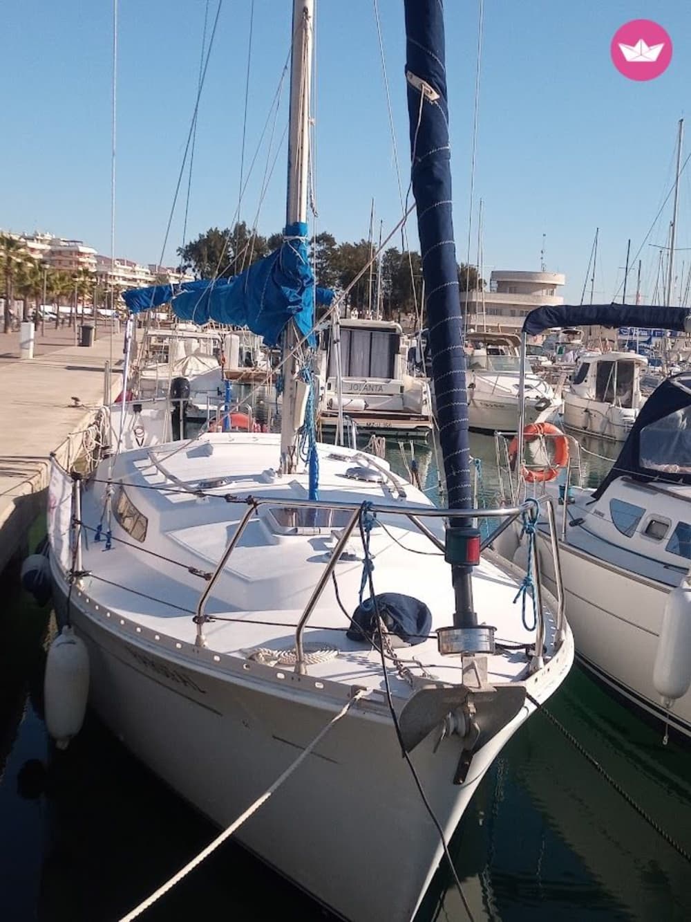 Sehen Sie nicht nur die Küste – segeln Sie sie! Ein unvergesslicher Morgencharter.