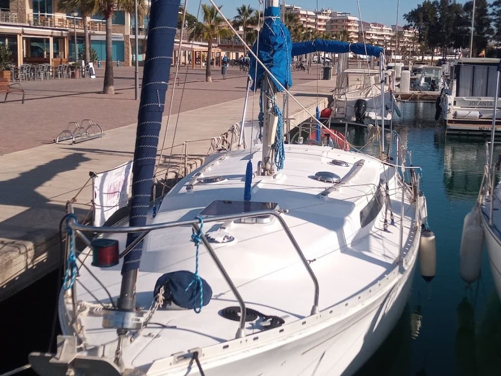 Sehen Sie nicht nur die Küste – segeln Sie sie! Ein unvergesslicher Morgencharter.