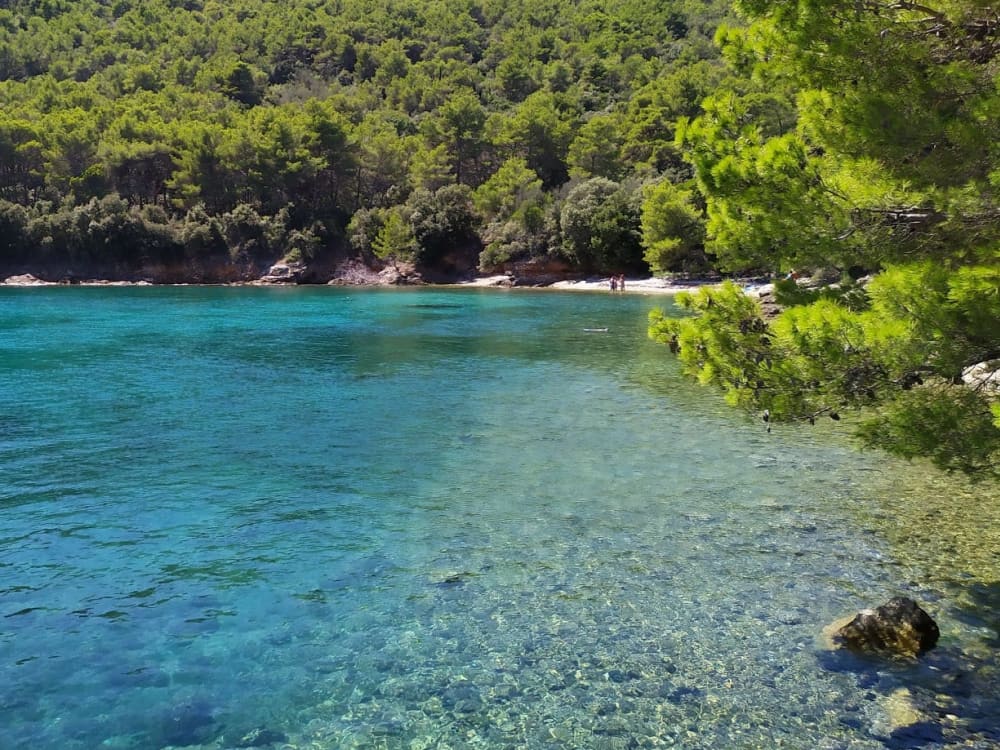 Ganztägiger Ausflug nach Dugi Otok: Schiffswracks, Meereshöhlen und Sakarun-Glückseligkeit
