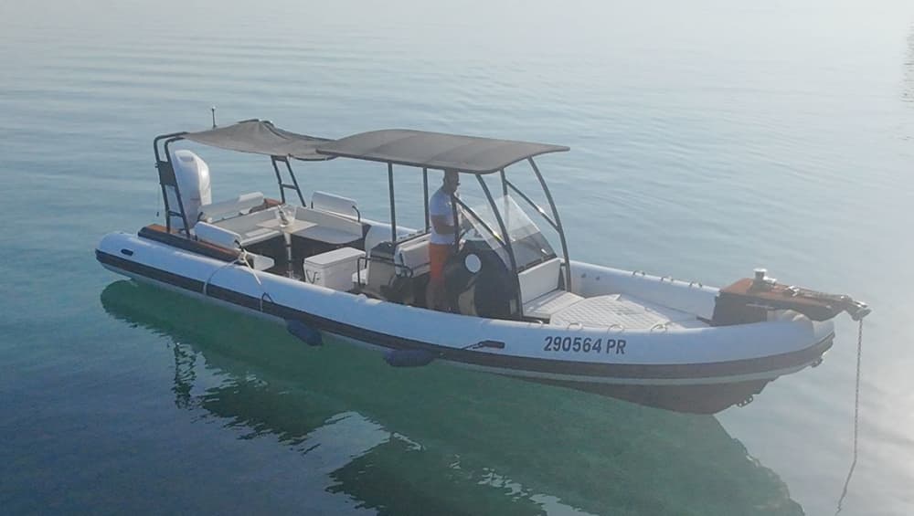 Adriatic Escape: Half-Day Boat Tour where ever you want