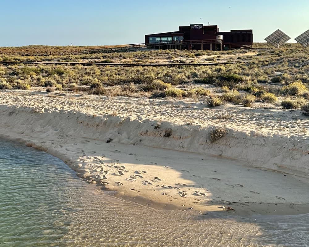 Luxusyachtcharter | Algarveküste & Ria Formosa Inseln | 8 Stunden