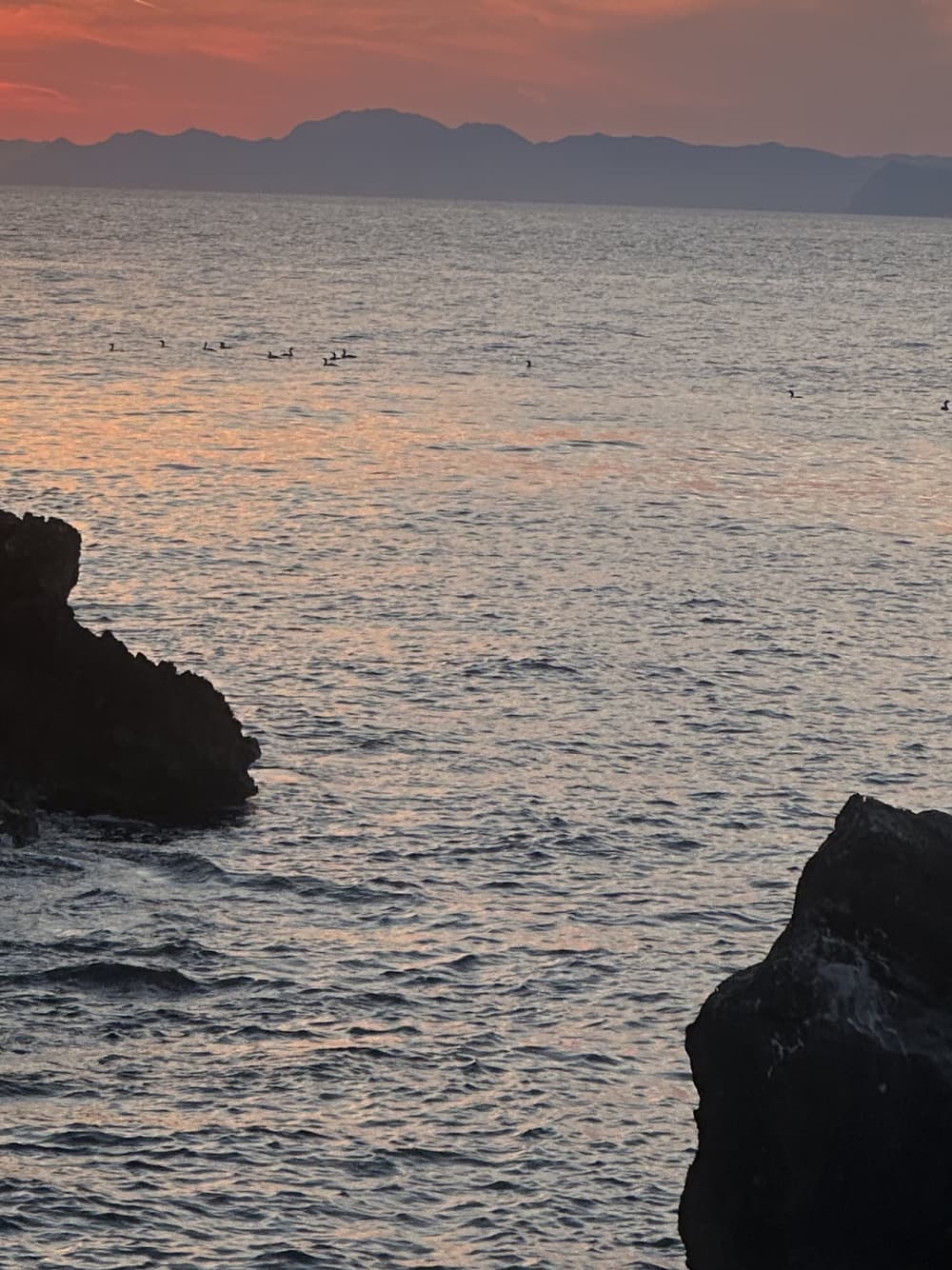 Dubrovnik Golden Hour & Authentic Wine Tasting