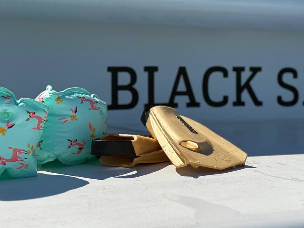 Half-day catamaran trip - Bay of Cannes and Lérins Islands departing from Mandelieu-la-Napoule