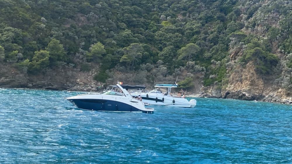 Dagje op zee op maat vanuit Cavalaire-sur-Mer