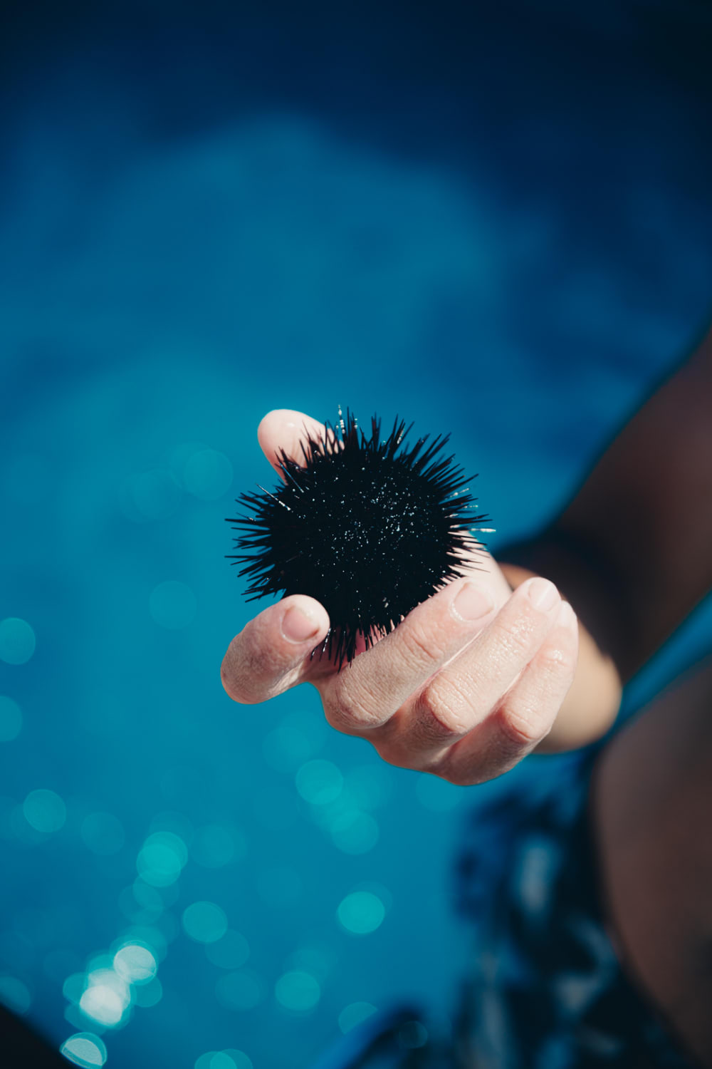 Private All-Inclusive Catamaran Cruise in Halkidiki | Premium Day Experience