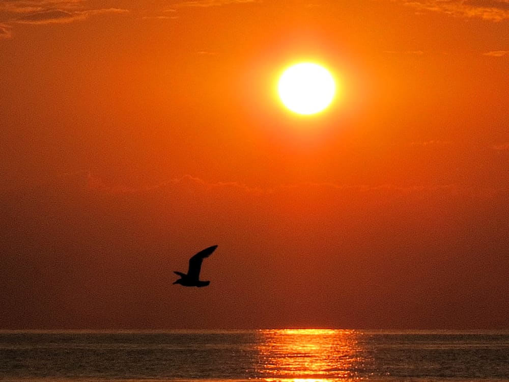 Geniet van een serene zonsopgang en een ontbijt aan zee in Barcelona.