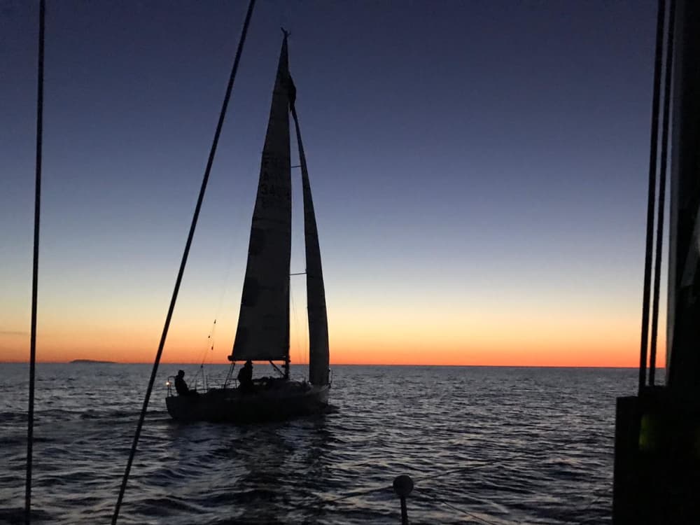 Private 9h sailing trip in Port Camargue