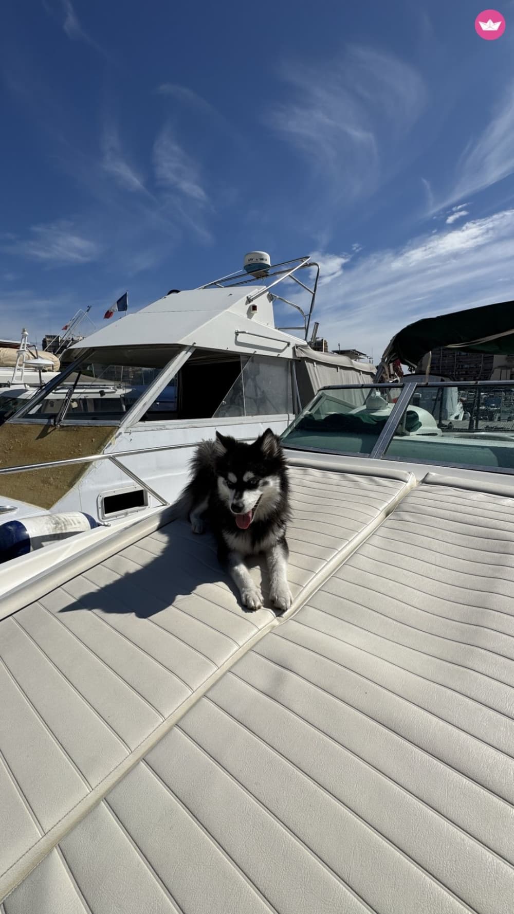 Escape to the Lérins Islands: Turquoise Waters & Unspoiled Nature (Half-day)