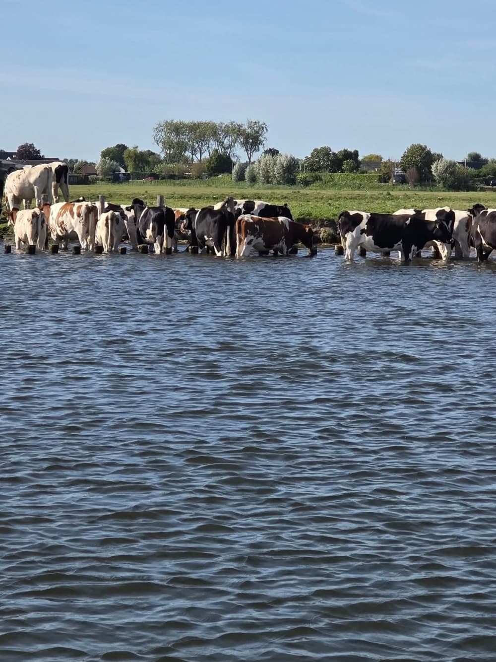 Utrecht Vecht towards Nigtevecht, and back again.