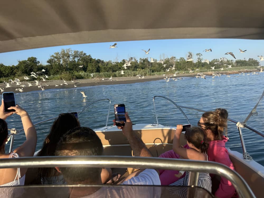 Wycieczka łodzią widokową po wyspie Ada Bojana (1 godzina)