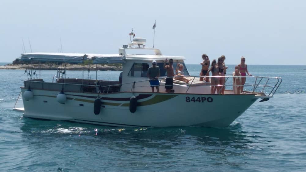 Escursione in barca di 4 ore al fiordo di Lim con nuoto