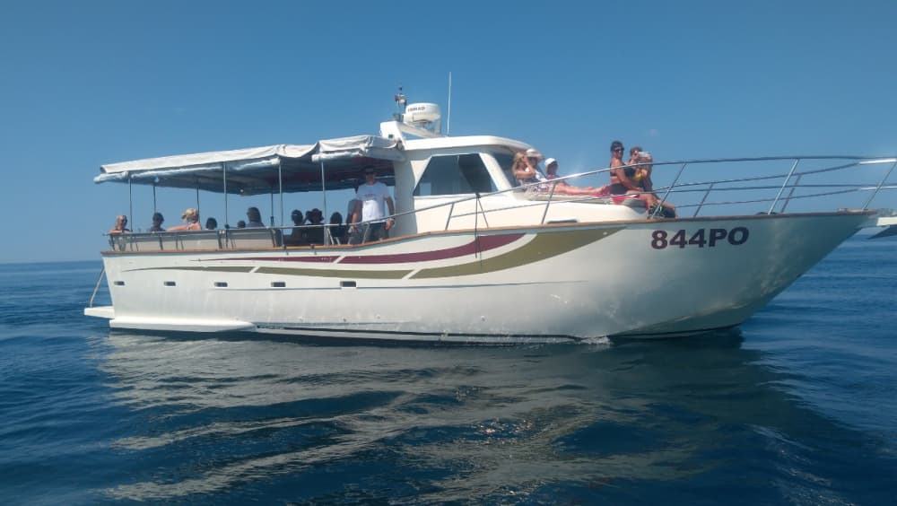 Escursione in barca di 4 ore al fiordo di Lim con nuoto